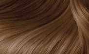 clairol hair color butterscotch
