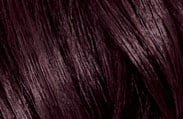 l'oreal hair color chart ruby 2